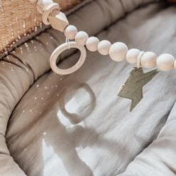 BEZISA Birds Wagenspanner Pistache Green -Kinderproducten Winkel 8720618125453 1 9132