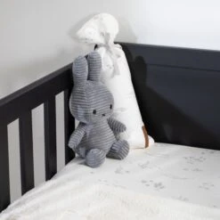 Europe Baby Ralph II Babybed Mat Zwart 60 X 120 Cm -Kinderproducten Winkel europe baby ralph ii babybed mat zwart 60 x 120 cm 2 2 a946